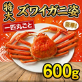 ズワイガニ姿